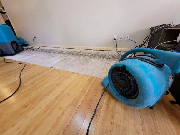 Professional Flood Damage Cleanup technician working in Spring Valley, AZ